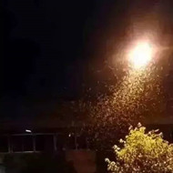 白蟻危害大，4-6月份進(jìn)入其活躍期 防治白蟻不容忽視！